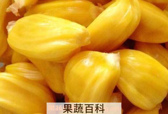 菠萝蜜哪些部位可以吃 吃菠萝蜜有什么禁忌