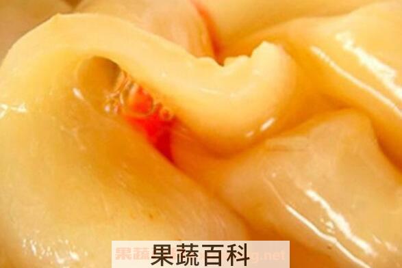 鱼胶对女性的功效