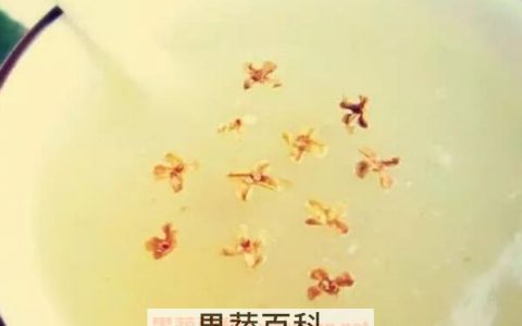 藕粉怎么冲成透明的 藕粉怎么冲才能成透明状