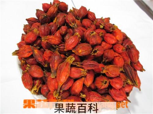 果蔬百科木芙蓉
