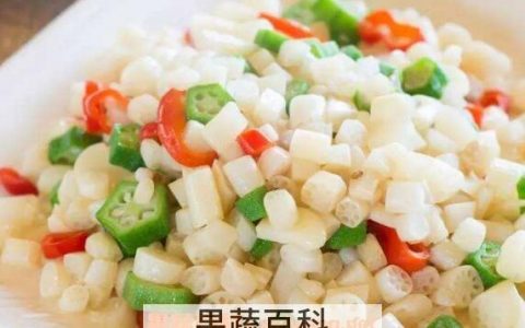 藕尖的吃法和做法 藕尖怎么做好吃 藕尖的家常做法大全视频