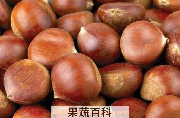 水煮生栗子怎么做好吃 