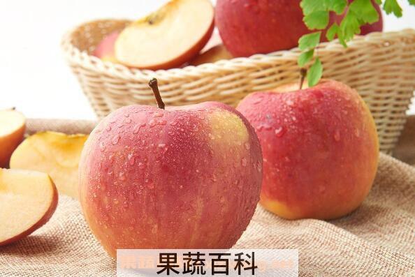 怎么保存苹果 苹果保鲜的方法技巧