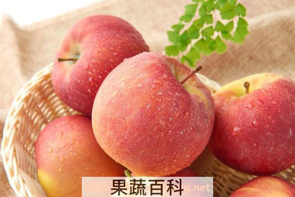 怎么保存苹果 苹果保鲜的方法技巧