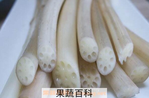 藕尖的功效与作用 产妇吃藕尖有什么好处