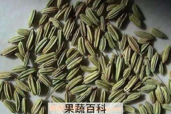 小茴香籽怎么使用 小茴香籽的食用方法