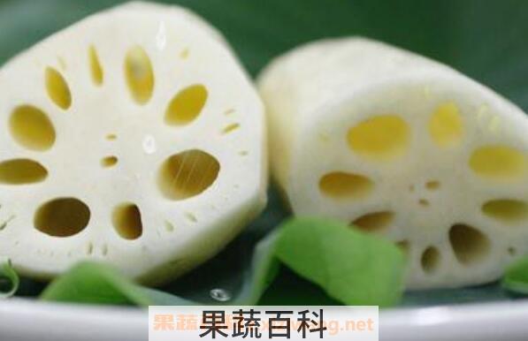 白莲藕的功效与作用