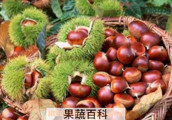 栗子怎么煮好吃 栗子怎么煮容易剥壳