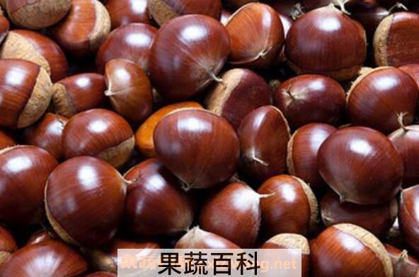 板栗怎么保存 保存板栗不变质的方法技巧