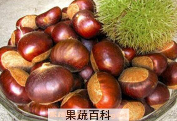 栗子怎么保存 栗子保存的方法技巧