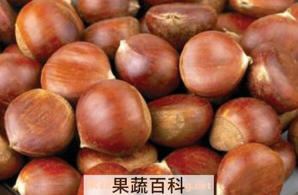 栗子怎么保存 栗子保存的方法技巧