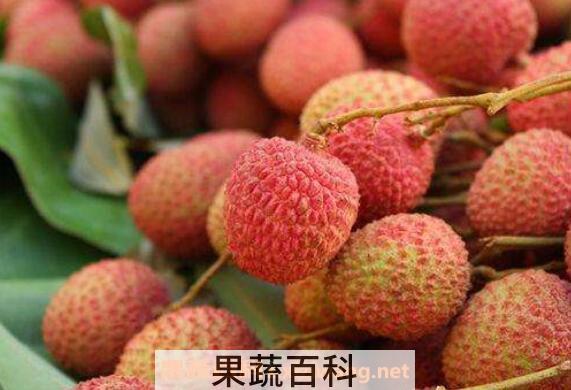 荔枝怎么保存 荔枝保鲜的方法技巧