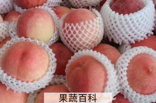 桃子怎么保存 如何让桃子保持新鲜