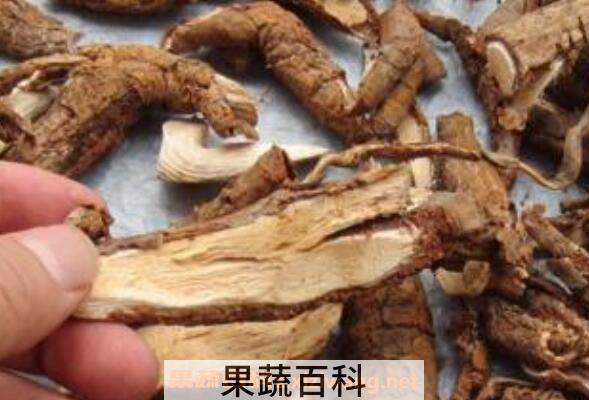野生猕猴桃根的功效与作用及药用价值
