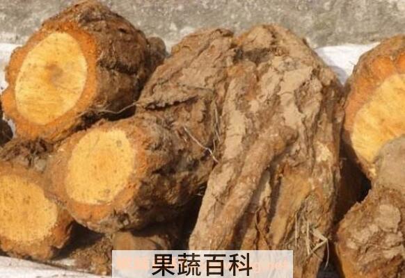 野生猕猴桃根的功效与作用及药用价值