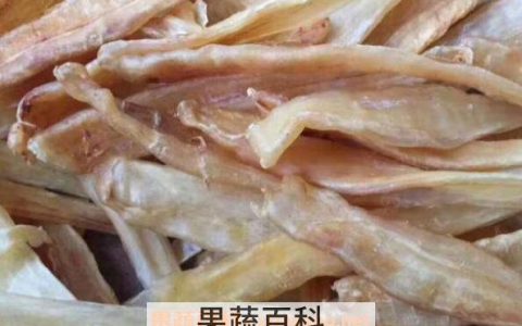 怀孕能吃鱼胶吗 孕妇吃鱼胶的好处和坏处是什么 怀孕能吃鱼胶吗 孕妇吃鱼胶的好处和坏处