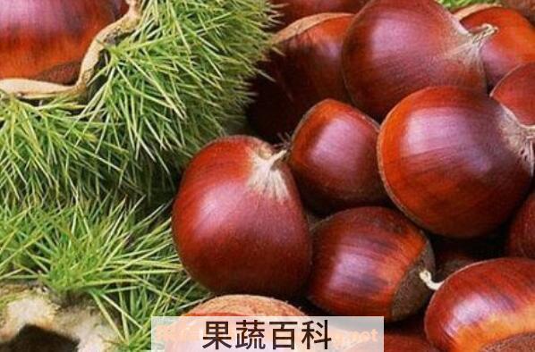 板栗怎么煮好吃 怎样煮板栗容易剥皮