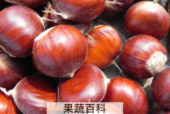 板栗怎么煮好吃 怎样煮板栗容易剥皮