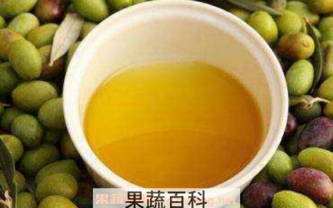 茶叶籽油有什么作用 茶叶子油有什么功效
