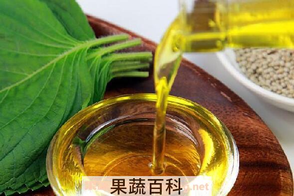紫苏籽油的功效与作用 紫苏籽油的副作用