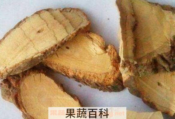 猕猴桃根泡水喝的功效