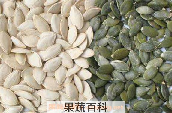 熟南瓜子的作用和功效