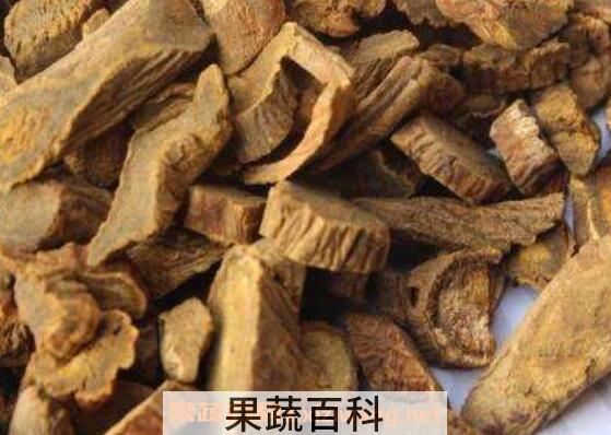 白猕猴桃根的功效与作用