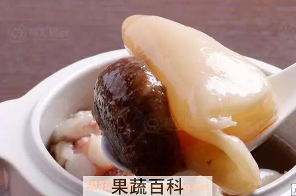 鱼肚和鱼泡的区别 鱼肚的营养价值