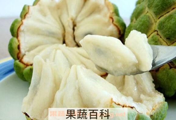 番荔枝和释迦的区别 番荔枝的功效与作用