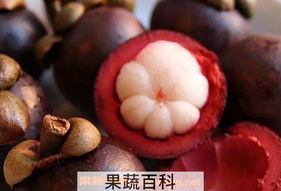 山竹里面的核能吃吗 山竹的食用注意事项