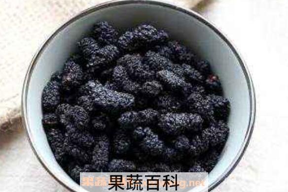 干桑椹子的功效与作用