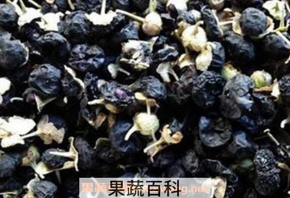 黑枸杞不适合什么人喝 黑枸杞泡水喝的禁忌