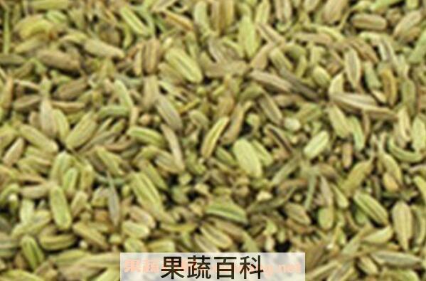 怎样炒茴香籽 茴香籽的功效与作用