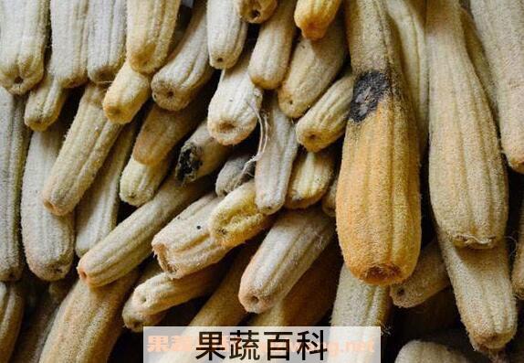 丝瓜络煮水的功效 老丝瓜络煮水喝的功效