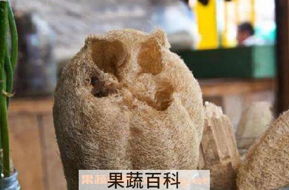 丝瓜瓤的功效与作用 丝瓜瓤煮水喝的功效