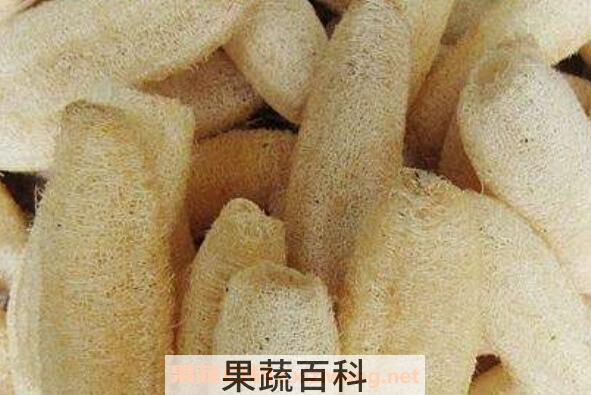 丝瓜瓤的功效与作用 丝瓜瓤煮水喝的功效