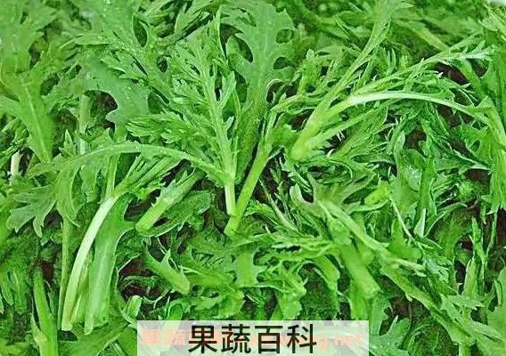 茼蒿菜的作用与功效