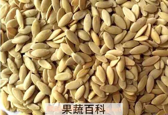 黄瓜籽的功效与作用 吃黄瓜籽的好处
