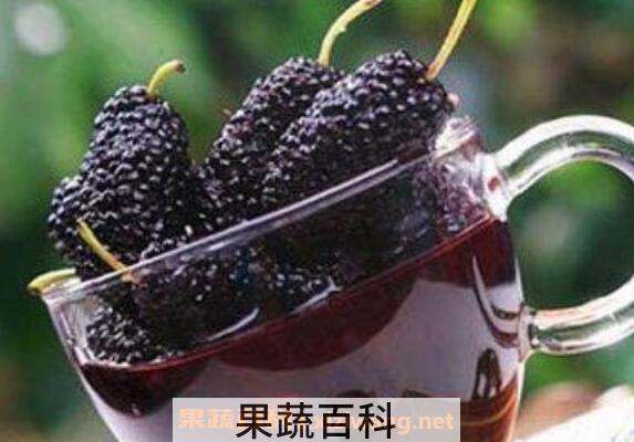 桑果的功效与作用
