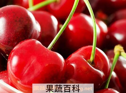 樱桃的营养价值 吃樱桃的好处
