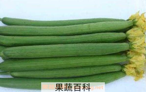 吃丝瓜有什么好处 丝瓜的功效与作用