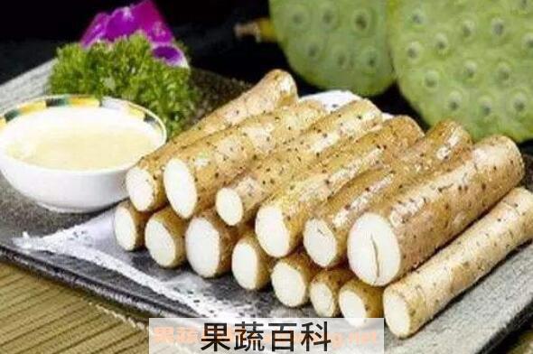 菜山药的功效与作用