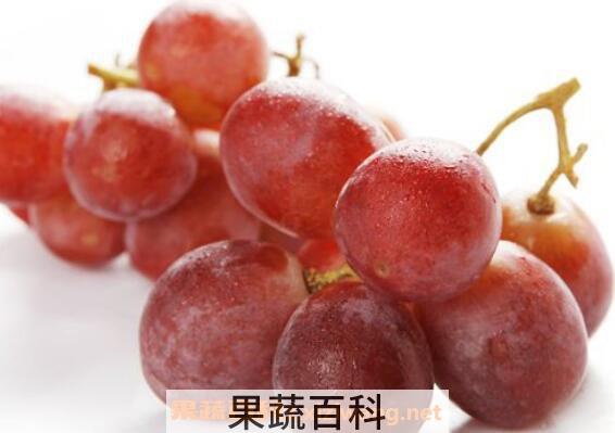 提子怎么吃最快 提子的食用方法