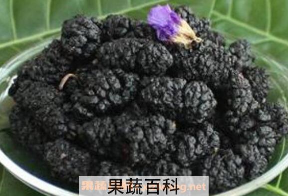 桑葚干的功效与作用