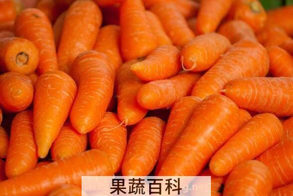 胡萝卜怎么吃 胡萝卜的功效与作用