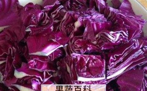 紫甘蓝怎么吃营养价值高 紫甘蓝的食用方法和营养价值