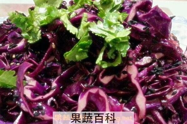 紫甘蓝怎么吃 紫甘蓝的功效与作用