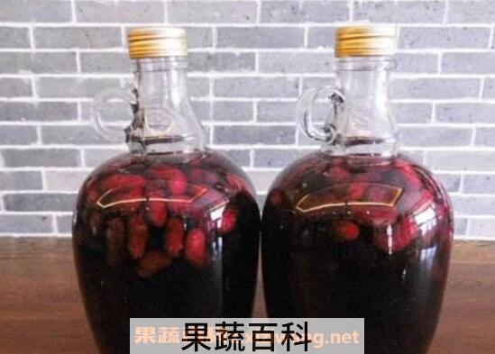桑果酒的功效与作用
