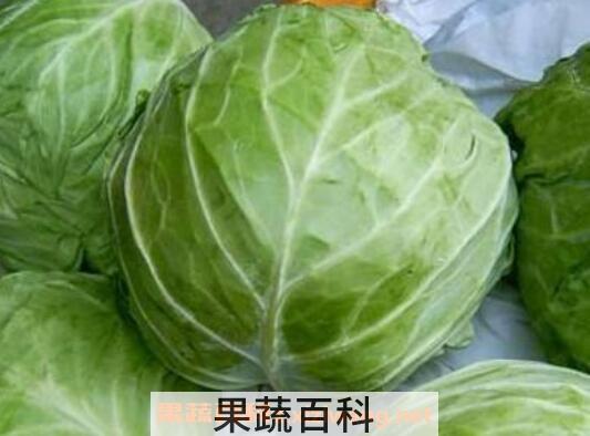 卷心菜怎么吃 卷心菜的功效与作用