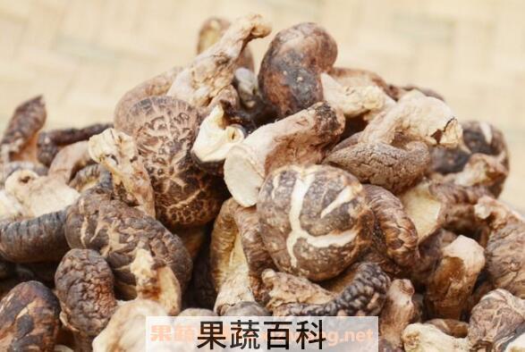 香菇的功效与作用 吃香菇的好处有哪些
